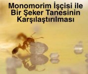 Picsart_22-01-15_11-55-12-433.jpg