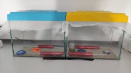 IMG_20220121_012457.jpg