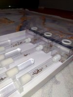 IMG_20220122_184619.jpg