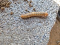 IMG_20220129_111643.jpg