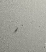 27395C88-6BC7-42BC-AD80-3C5E5806D306.jpeg