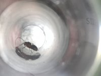 28B74300-20E2-4772-ADE6-DD0452D06CF8.jpeg