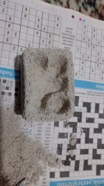 IMG_20220226_205315.jpg
