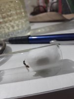 20220622_212052.jpg