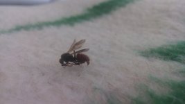 20220625_110931.jpg