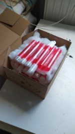 IMG_20220629_100410.jpg