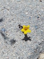 IMG_20220629_105039.jpg