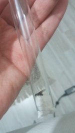 IMG-20220630-WA0051.jpeg