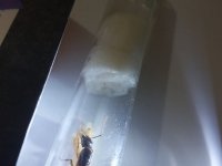 20220701_024341.jpg