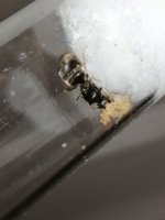 IMG_20220701_101248.jpg