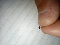 IMG_20220701_193613_1.jpg