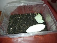 IMG_20220704_004124.jpg