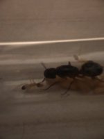 IMG_20220706_001117.jpg