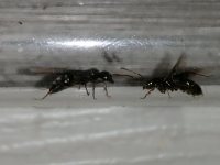 IMG_20220706_214028.jpg
