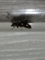 IMG_20220706_214009.jpg
