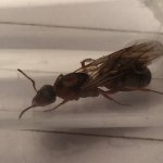 036E4FA8-153E-48AB-95CF-3B919682B922.jpeg