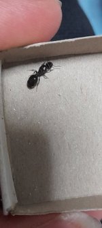 20220709_223742.jpg