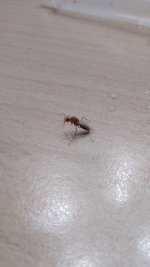 IMG_20220710_023717.jpg