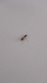 IMG_20220710_142503.jpg