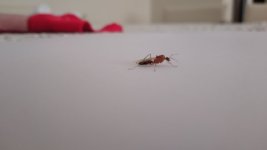 IMG_20220710_142536.jpg