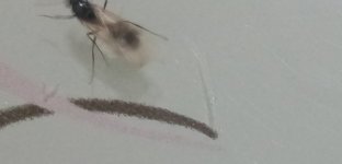 IMG_20220714_014854.jpg