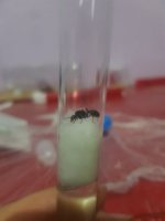 20220714_234215.jpg