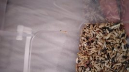 IMG_20220715_115858.jpg