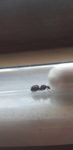 20220715_140928.jpg