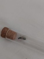 20220715_202722.jpg