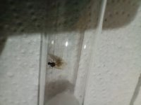 IMG20220716022012.jpg