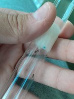 20220716_162835.jpg