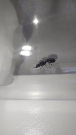 IMG_20220717_144208.jpg