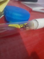 20220720_004242.jpg