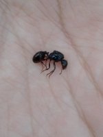 20220720_135001.jpg