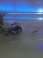 IMG_20220720_233005.jpg