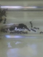 IMG_20220720_233026.jpg