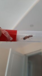 IMG-20220721-WA0019.jpeg