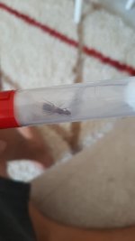 IMG-20220721-WA0017.jpeg