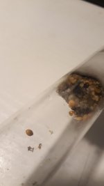 20220722_015856.jpg