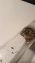 20220722_015903.jpg