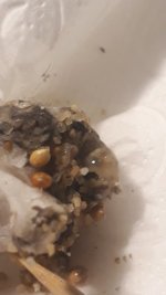 20220722_030514.jpg