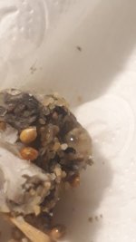 20220722_030518.jpg