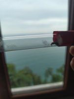 IMG_20220722_091713.jpg
