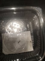 IMG_20220724_234743.jpg