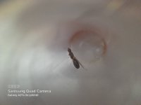 20220725_011037.jpg