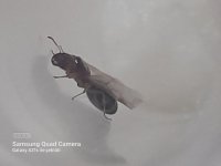 20220725_010759.jpg