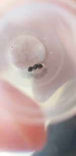 23649EAA-2E81-4FFB-BAC0-BAD44C239221.jpeg