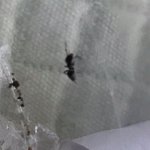 19235674-3D81-454F-B4F0-6AABD7F57F36.jpeg