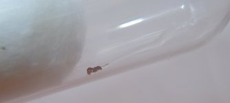 IMG20220727192511.jpg