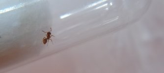 IMG20220727192457.jpg